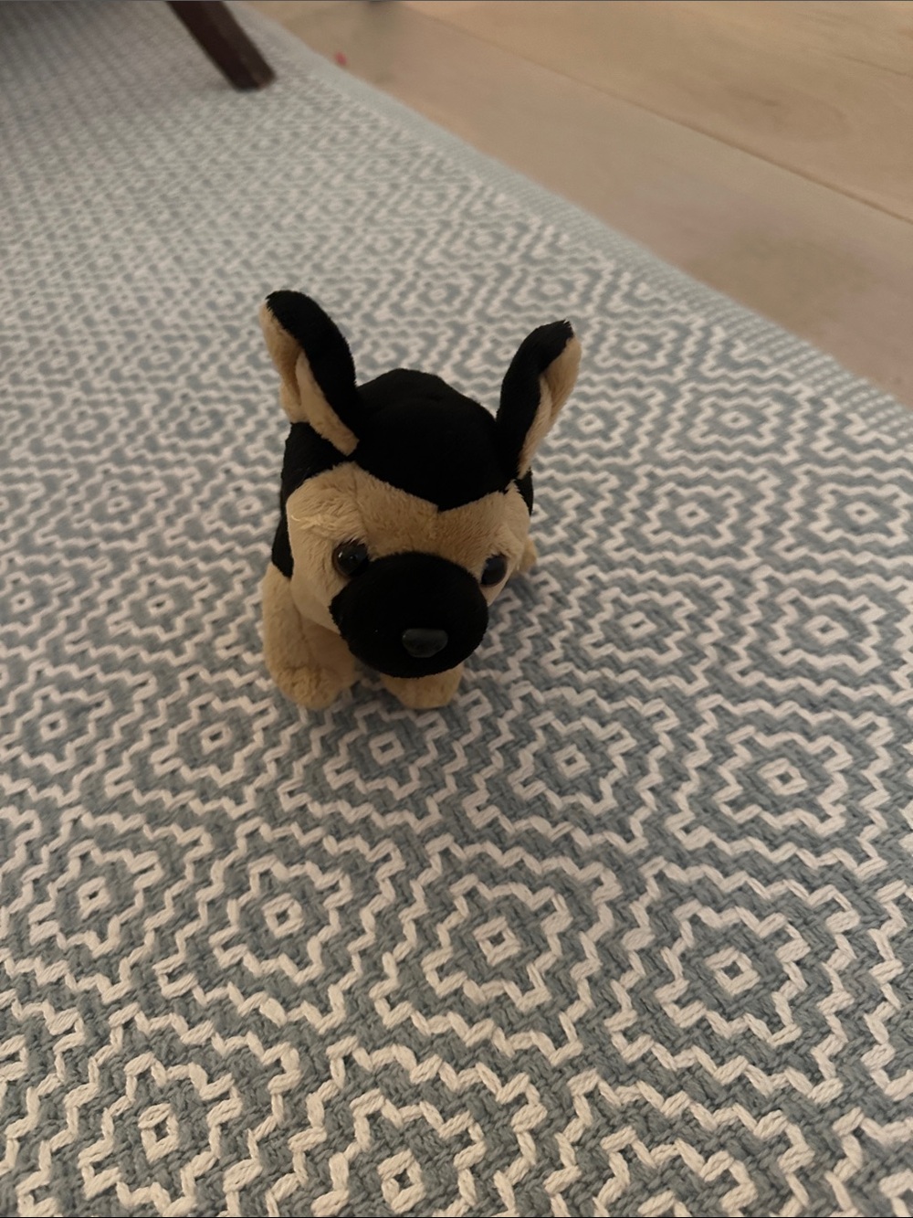 Our Generation Dog